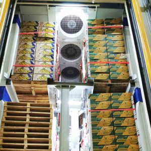 Evaporators for banana ripening rooms